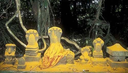 Mannarasala Sree Nagaraja Temple-Atma Nirvana