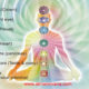 Know Your Spriritual Body-Secret of 7 Chakras-Atma Nirvana