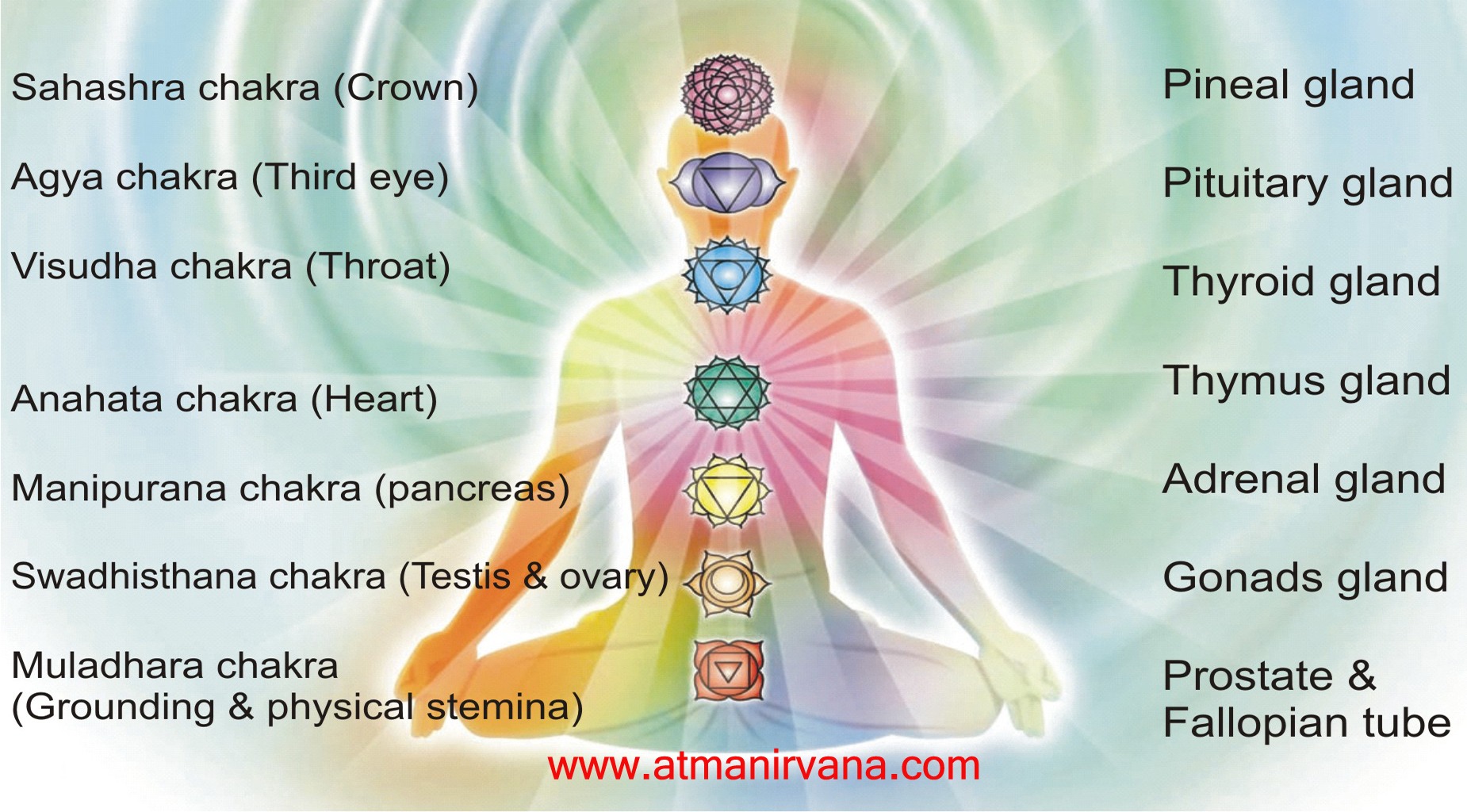 Know Your Spriritual Body-Secret of 7 Chakras-Atma Nirvana