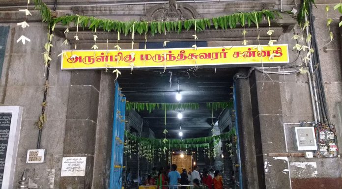 Marundeeswarar Temple, Thiruvanmiyur