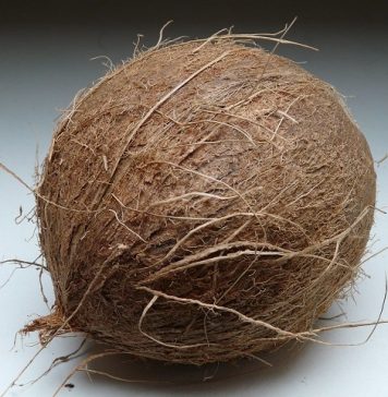 The Significance of Coconut in Hindu Rituals and Offerings