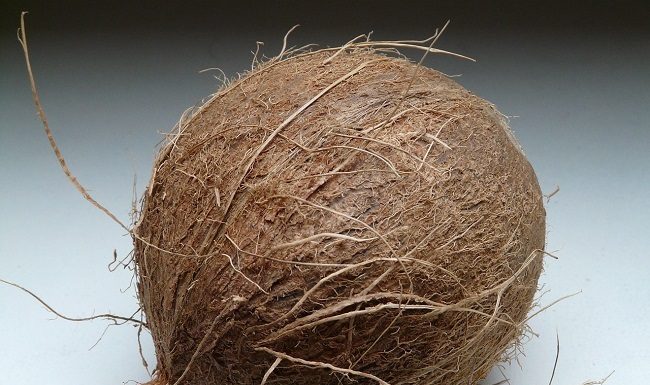 The Significance of Coconut in Hindu Rituals and Offerings