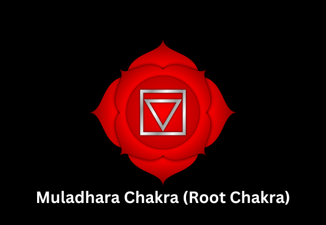 Muladhara Chakra (Root Chakra)