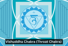 Vishuddha Chakra (Throat Chakra)