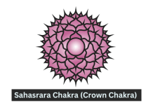 Sahasrara Chakra (Crown Chakra)